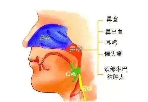 微信图片_20250213104848.jpg
