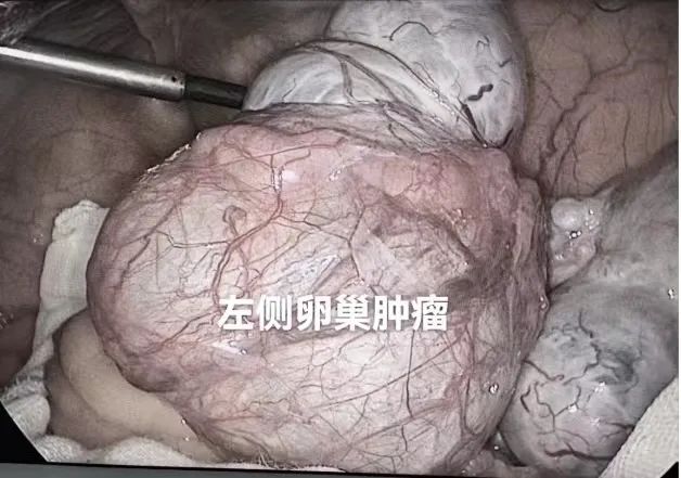 微信图片_20250418085232.jpg