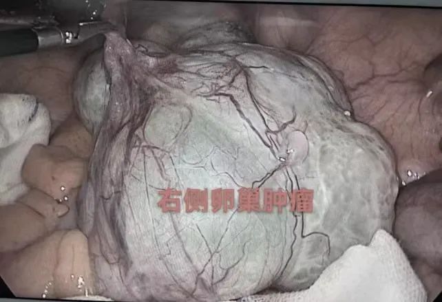 微信图片_20250418085239.jpg