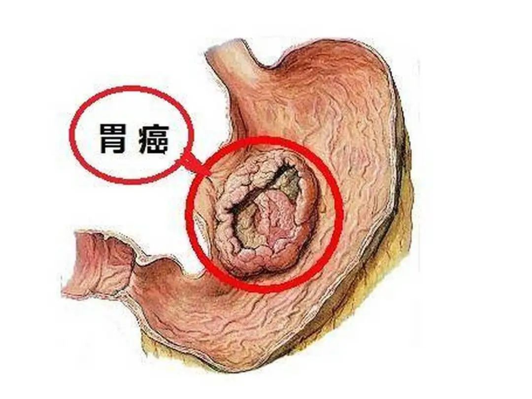 微信图片_20250422151933.jpg