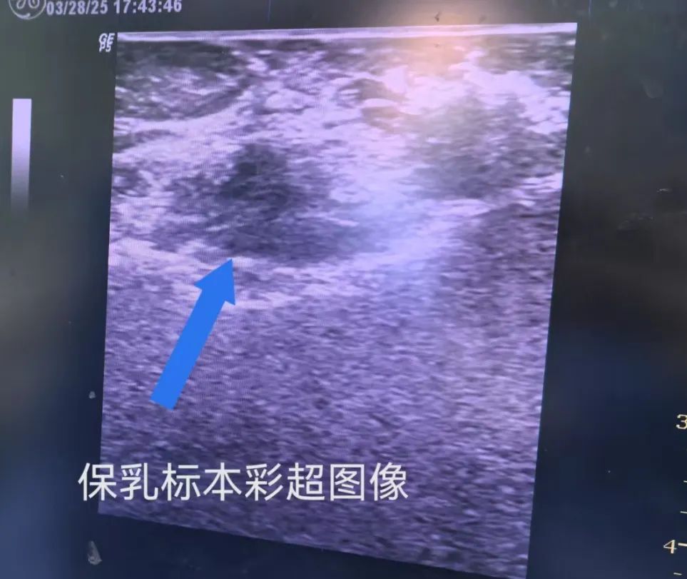 微信图片_20250508100032.jpg